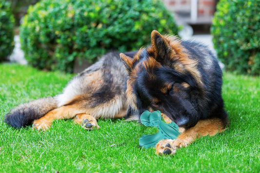 CVALIN Dog Chew Toys for Aggressive Chewers Large Breed,Indestructible Bones Toy，Durable Cleaning Toothbrush Natural Rubber Dog Toys… (Blue)