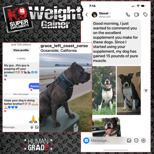 K9 Weight Gainer for Dogs – Build Muscle, Gain Healthy Weight & Strength – Supports Dog Muscle Mass (3 Lbs)