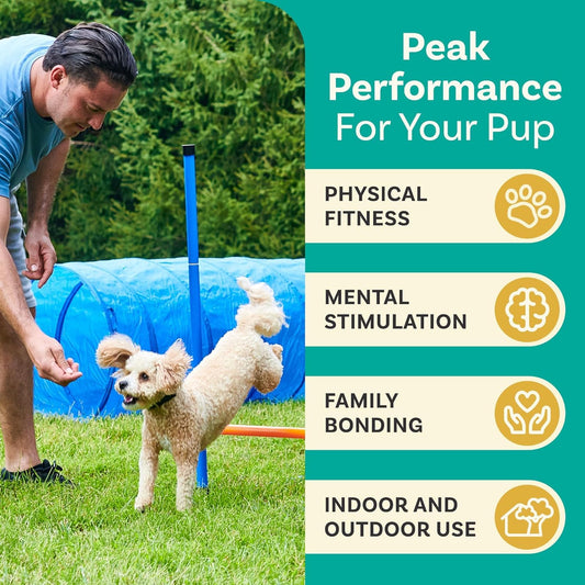 PetCove Dog Agility Obstacle Course Set for Backyard Training and Jumps - Dog Agility Course Backyard Set for Training Sessions & Competitions - Exercise Equipment with Tunnel