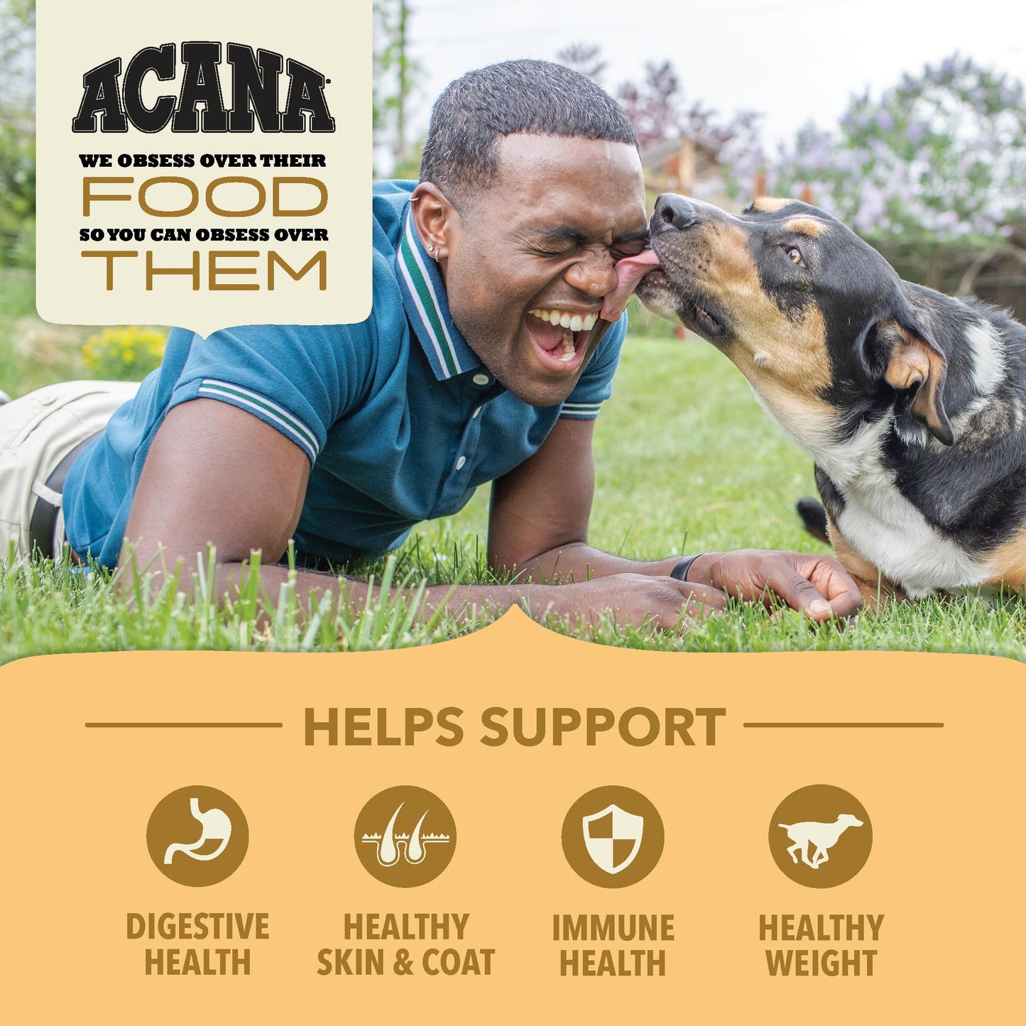 ACANA Wholesome Grains Dry Dog Food Free-Run Poultry & Grains Recipe with Cage-Free Eggs 22.5lb Bag