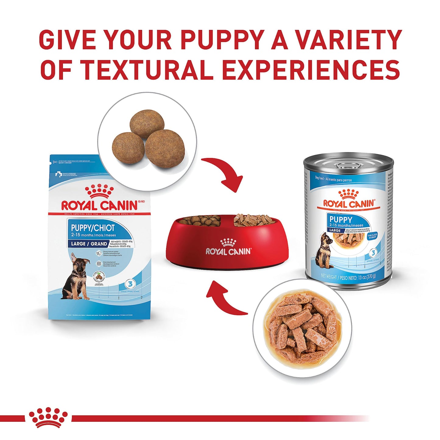 Royal Canin Size Health Nutrition Large Puppy Dry Dog Food, 4 lb Bag