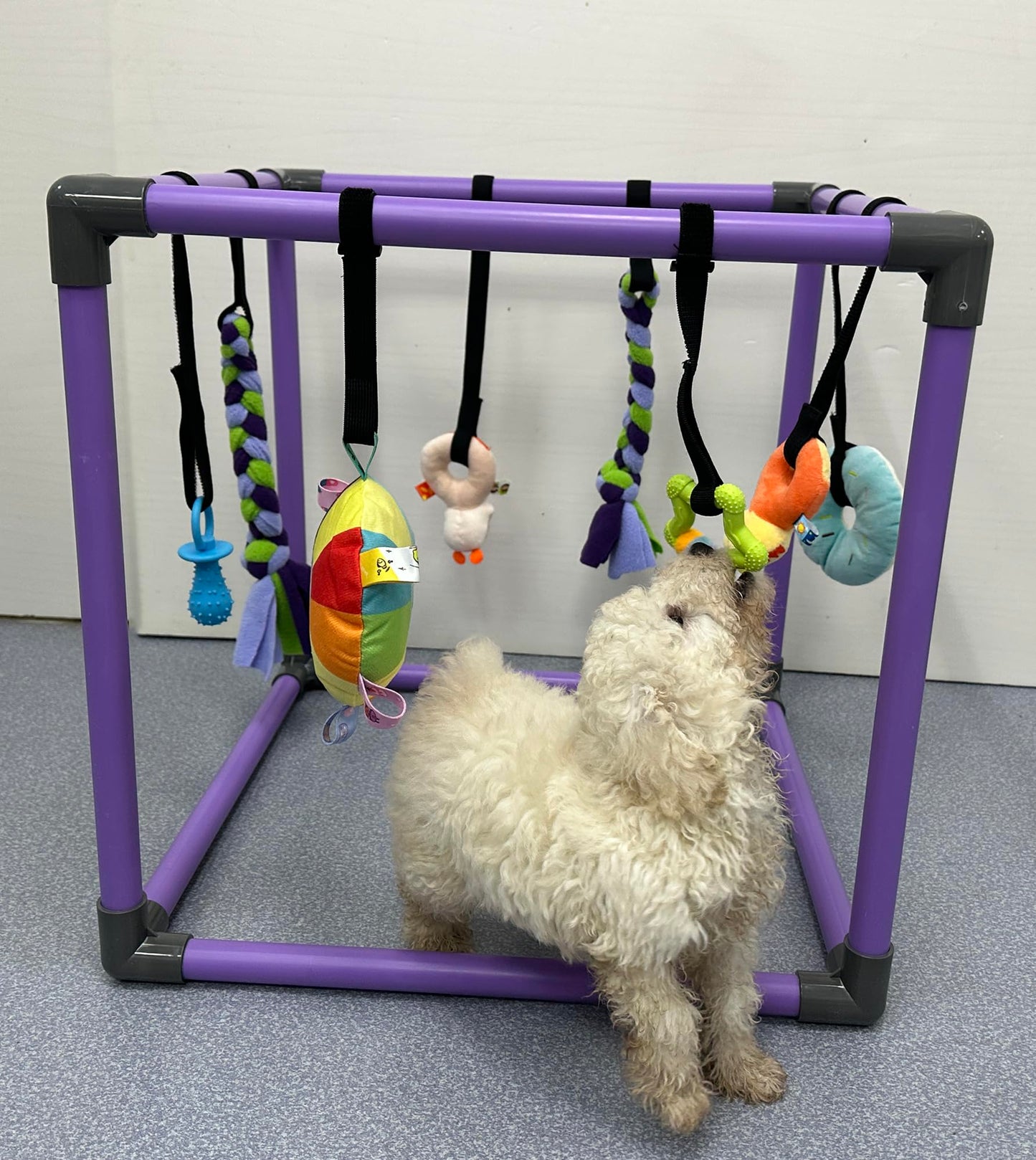 DOZZOPET Puppy Play Gym for Small Dogs with 8 Hanging Toys, Jungle Playground with Interactive Funny Enrichment Toys to Keep Them Busy