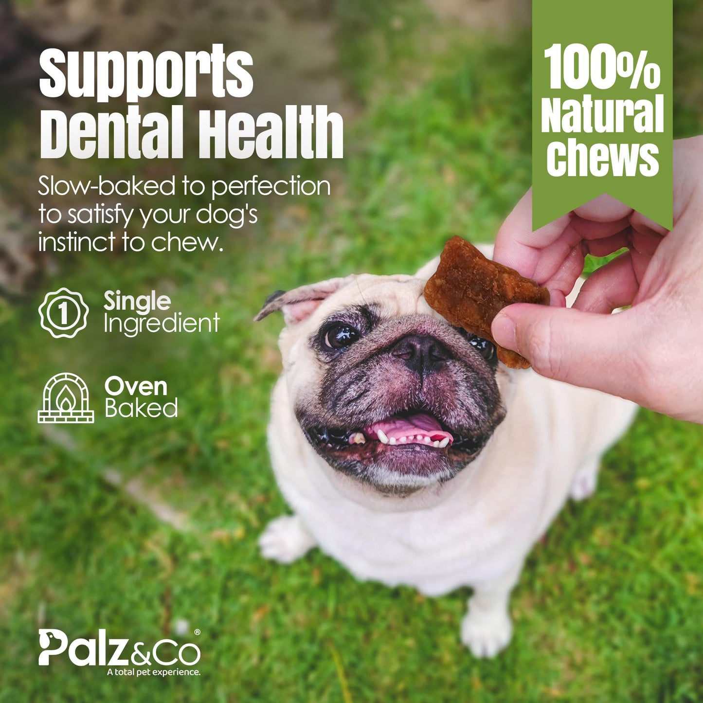Palz&Co Moodog Beef Bites Soft Chews for Dogs - 100% Natural Grain-Free Treats to Support Dental Health, Joint Mobility, and Stress Relief, No Artificial Additives, 6 oz Bag