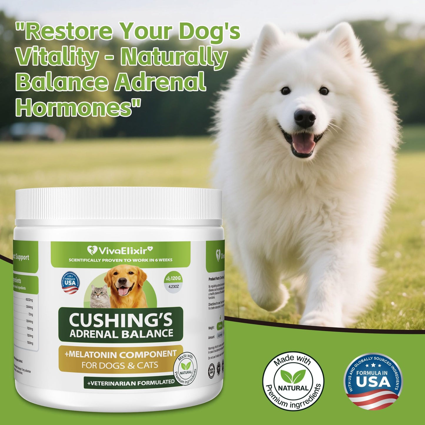 Canine Cushing's Support –Supports adrenal and cortisol balance, helps relieve thirst, urination, and kidney health | Veterinary formula with melatonin, ashwagandha, Astragalus, and milk thistle, 120g