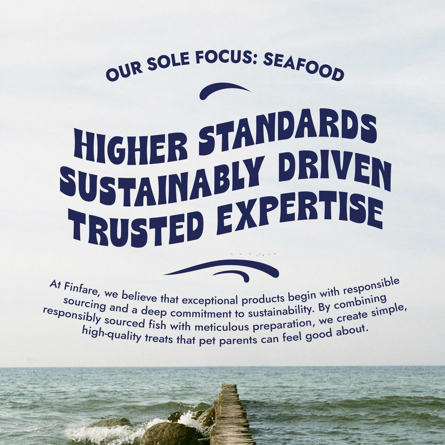 Finfare Freeze Dried Dog Treats, Salmon Skin Strips, Protein & Omega-3s, Grain Free Salmon Dog Training Treats, Crafted in USA, 2oz