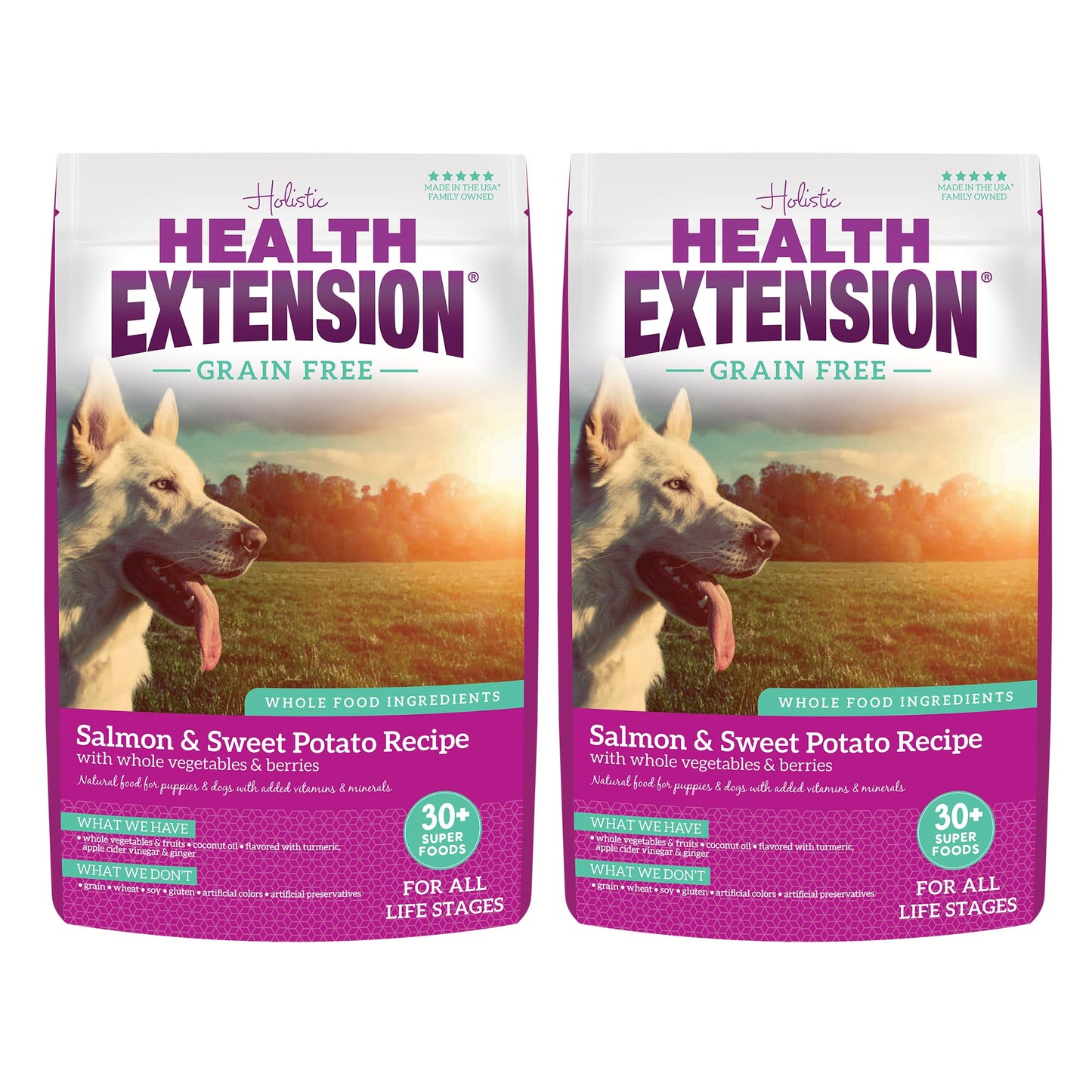 Health Extension Grain Free Salmon & Sweet Potato Dry Dog Food (4 lb / 1.81 kg) - Whole Foods Ingredients Formula with Omega 3 & Antioxidants for All Life Stages Dogs (Pack of 2)