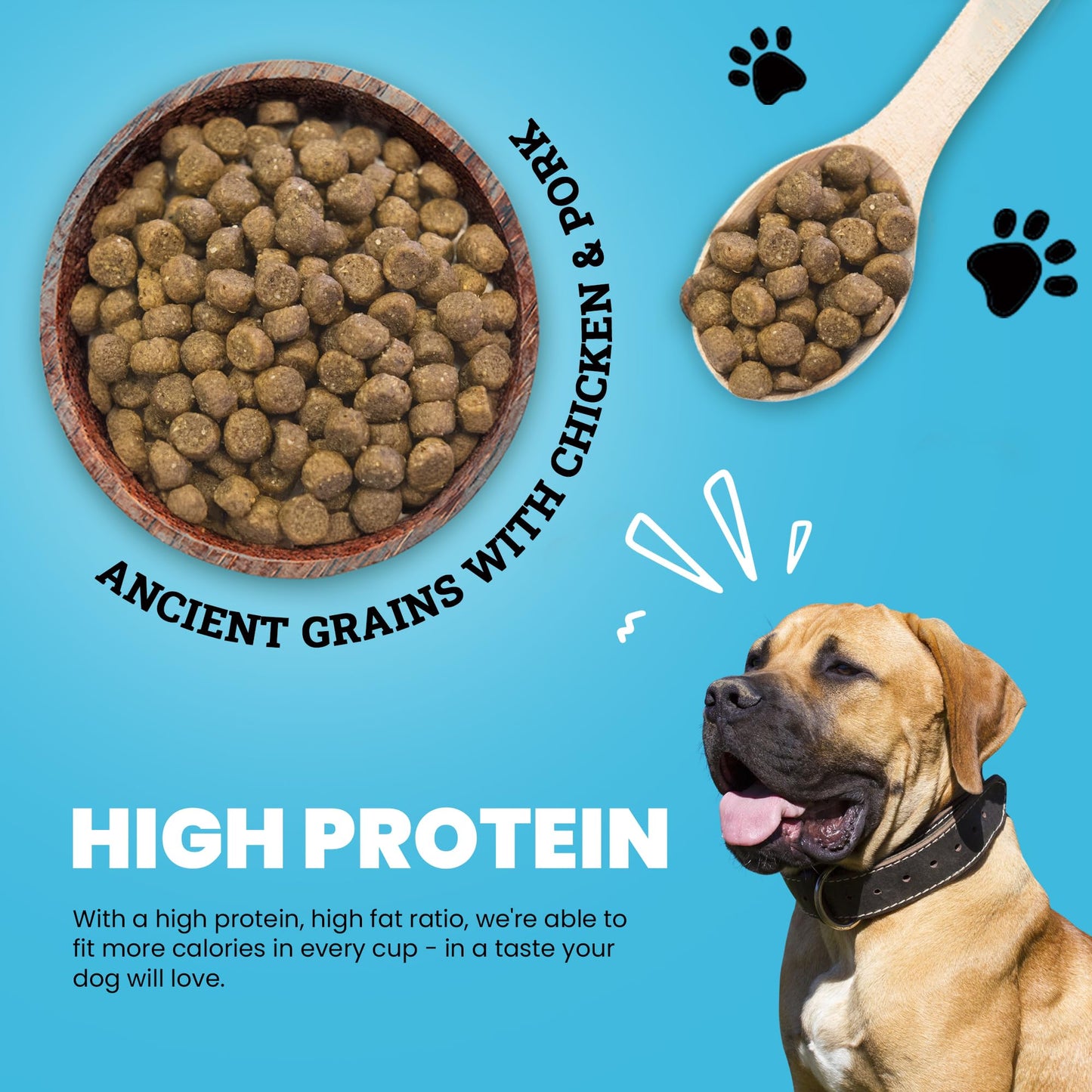 Muenster Ancient Grains Chicken & Pork Dry Dog Food, 22lb - Gluten-Free, High Protein, Digestive Support
