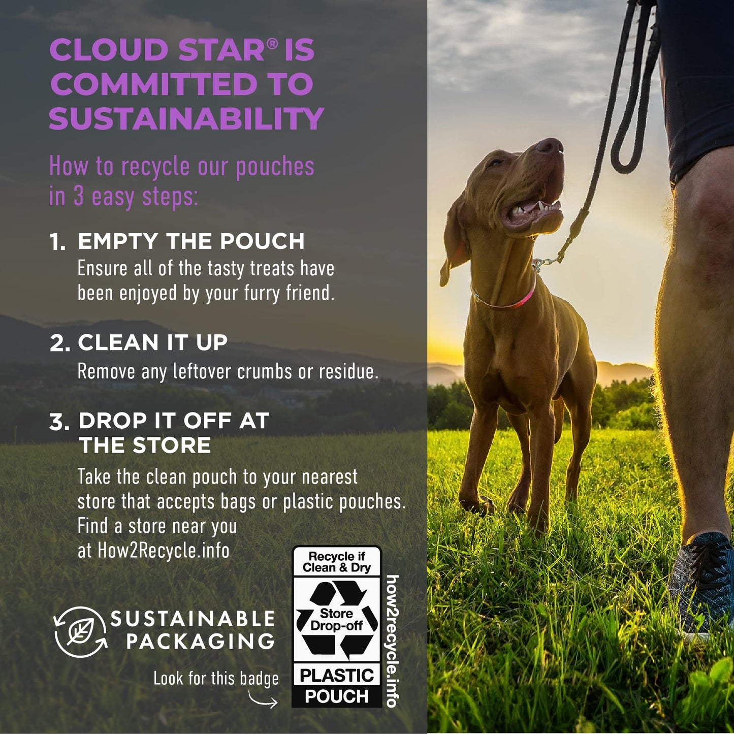 Cloud Star Tricky Trainers Soft & Chewy Dog Training Treats 5 oz. Bag, Liver Flavor, Grain-Free Low Calorie Behavior Aid with 310 treats