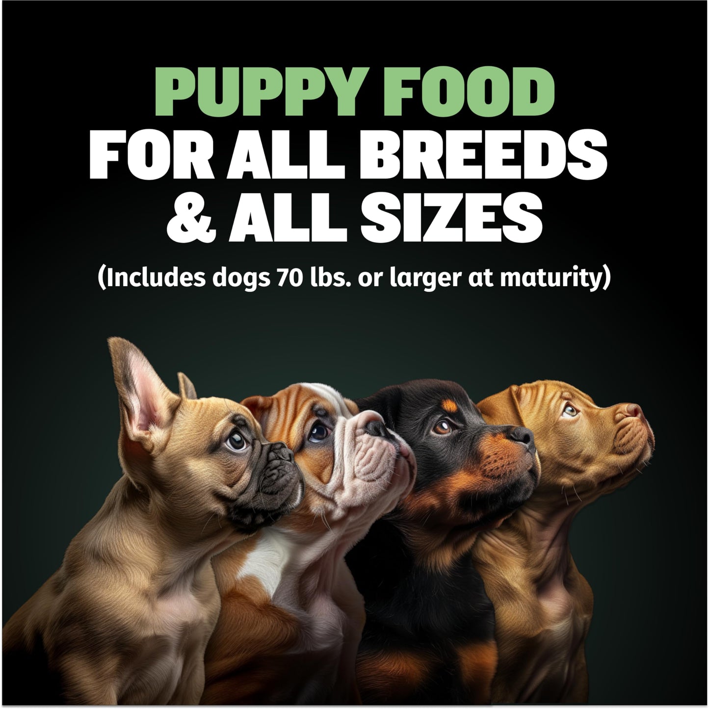 Bully Max Puppy Development Bundle: High-Protein Lamb Puppy Food (5lb), 2-in-1 Vitamin Tabs (2 Bottles) & Power Tabs (60ct) for Muscle - Supports Growth, Immunity, Digestion & Training for All Breeds