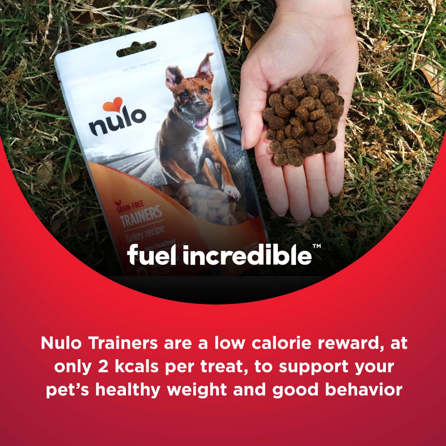Nulo Trainers Salmon Recipe Grain-Free Low-Calorie Healthy Dog & Puppy Training Treats, 16 Ounce Pouch