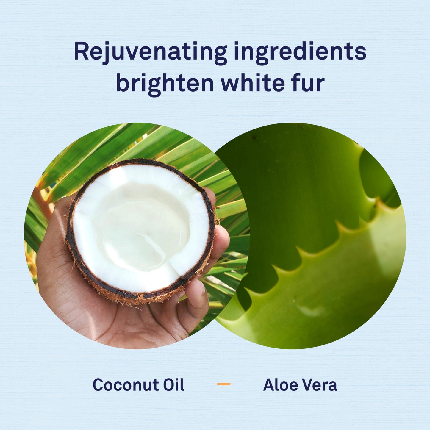 Petpost | Dog Whitening Shampoo with Coconut Oil & Aloe. Brightens White & Light Coats, Moisturizes Skin. Watermelon Scent. 16 oz