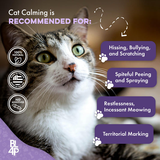 Anti Aggression for Cats Calming Remedy, A Natural Diffuser and Cat Calming Aid for Stress, Spiteful Spraying, Scratching & Territorial Behavior, Non-Drowsy, 400 Odorless, Tasteless Pills