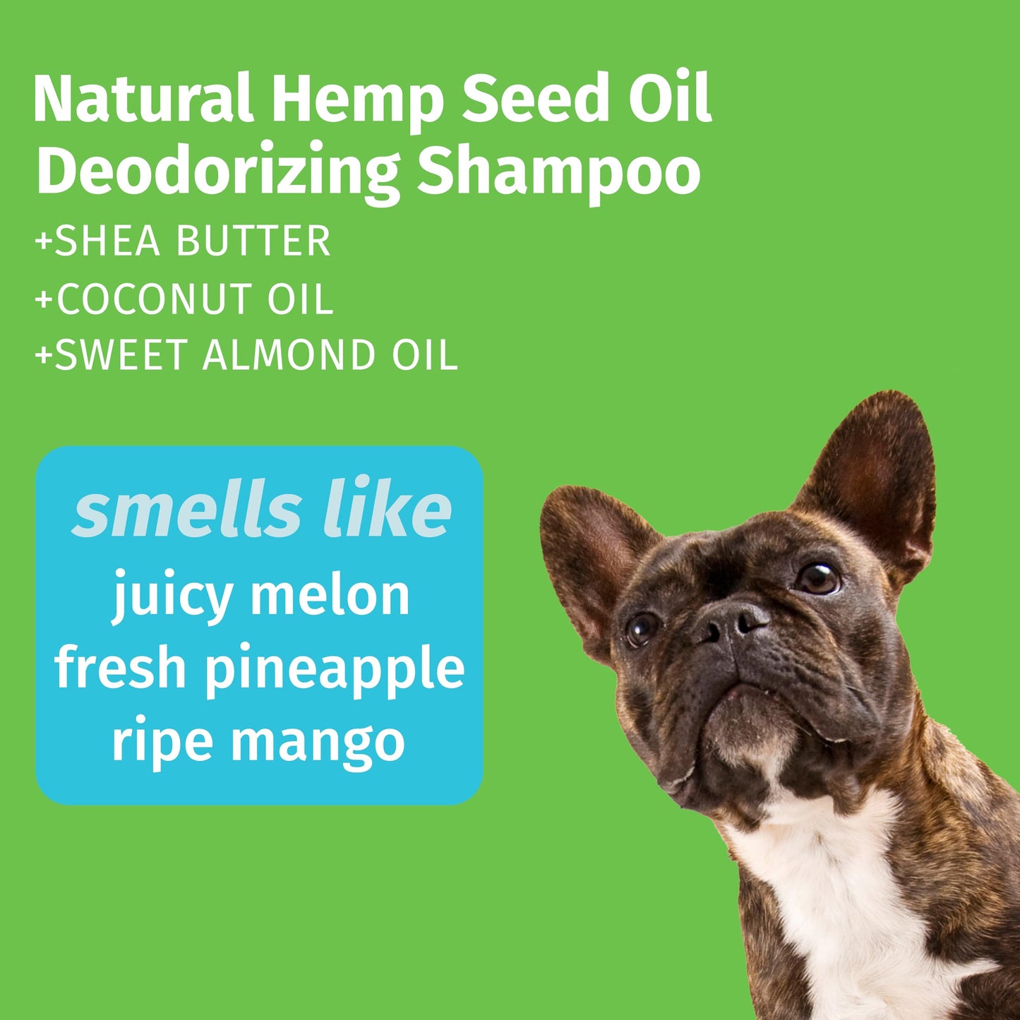Vetoquinol Sebozole Pet Shampoo with Miconazole Nitrate 2% and Chloroxylenol 1%, 16oz