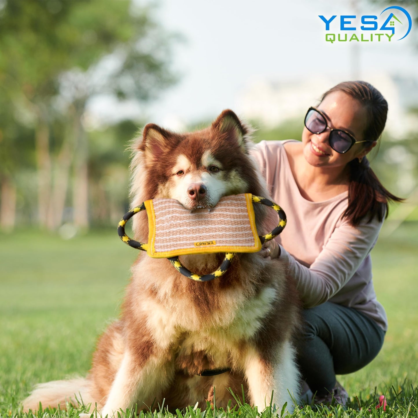 YES4QUALITY Durable Dog Bite Pillow - 10"x7" - Safe Biting Pad with 3 Strong Handles - Tough Jute Tug Toy for Medium to Large Dogs - Ideal for Tug of War, K9, Schutzhund & Puppy Training