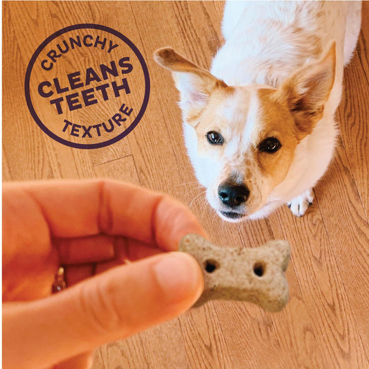 Old Mother Hubbard Wellness Hip & Joint Dog Biscuits, Natural, Training Treats, Chicken, Apples, Oats, and Carrots Flavor, Mini Size, (20 Ounce Bag)