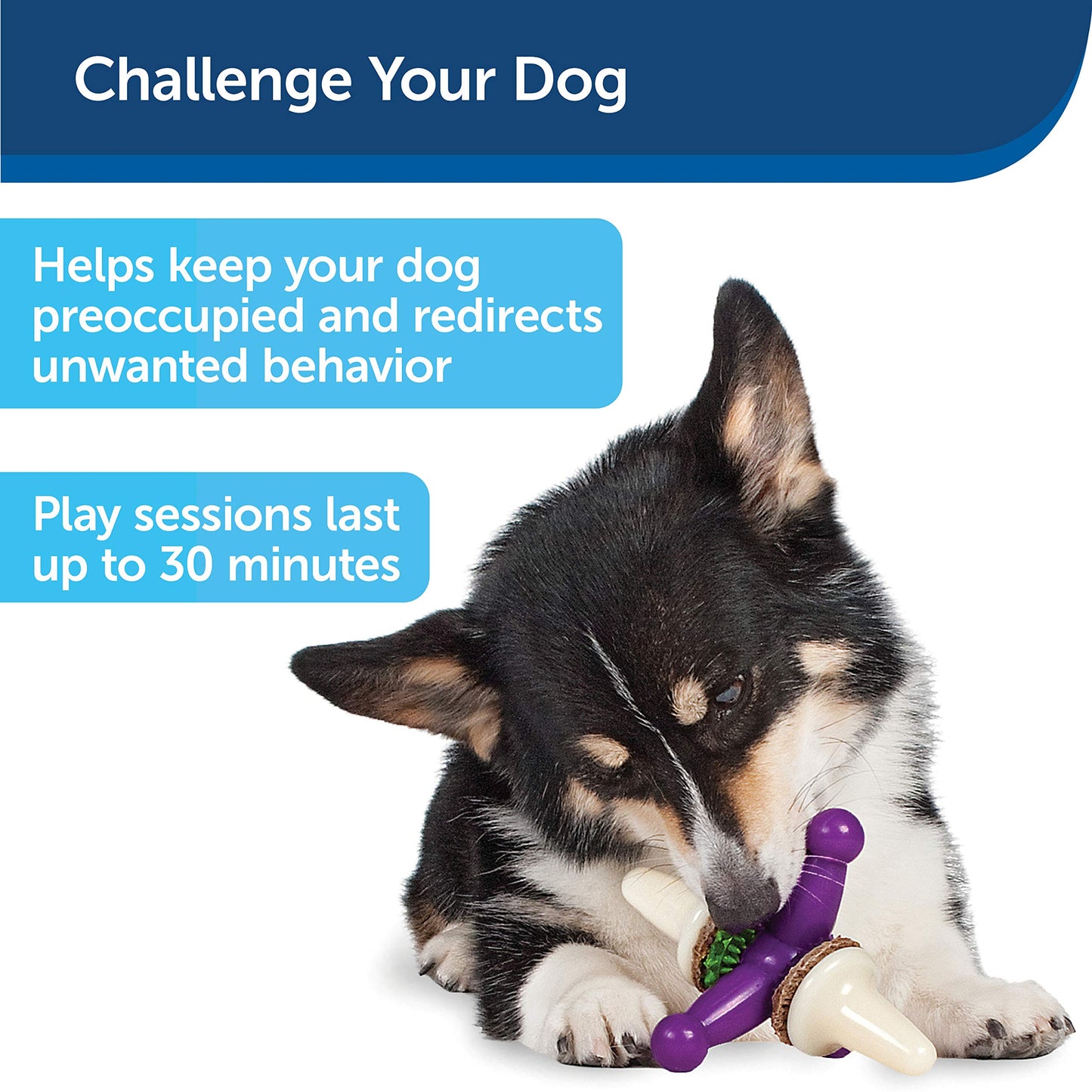 PetSafe Busy Buddy Jack - Keeps Dog Busy - Includes Treats Refill - Treat Holding Dog Toy - Helps Clean Teeth - Durable Rubber - Strong Chewers - Dishwasher Safe - Medium - Purple