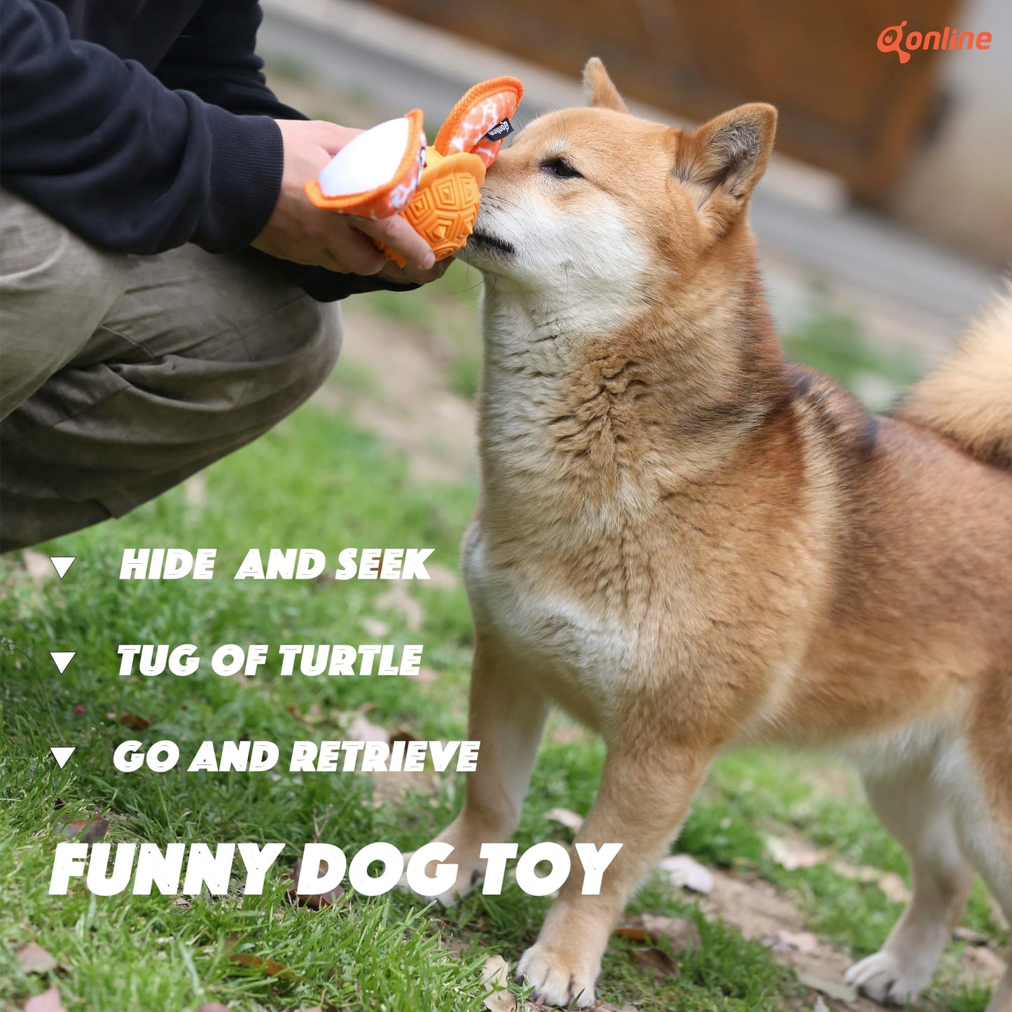 Qonline Dog Chew Toys,Puppy Teeth Chew Toys Durable Rubber Material Turtle Shape Dog Toys with 2 Tennis Ball (Green)