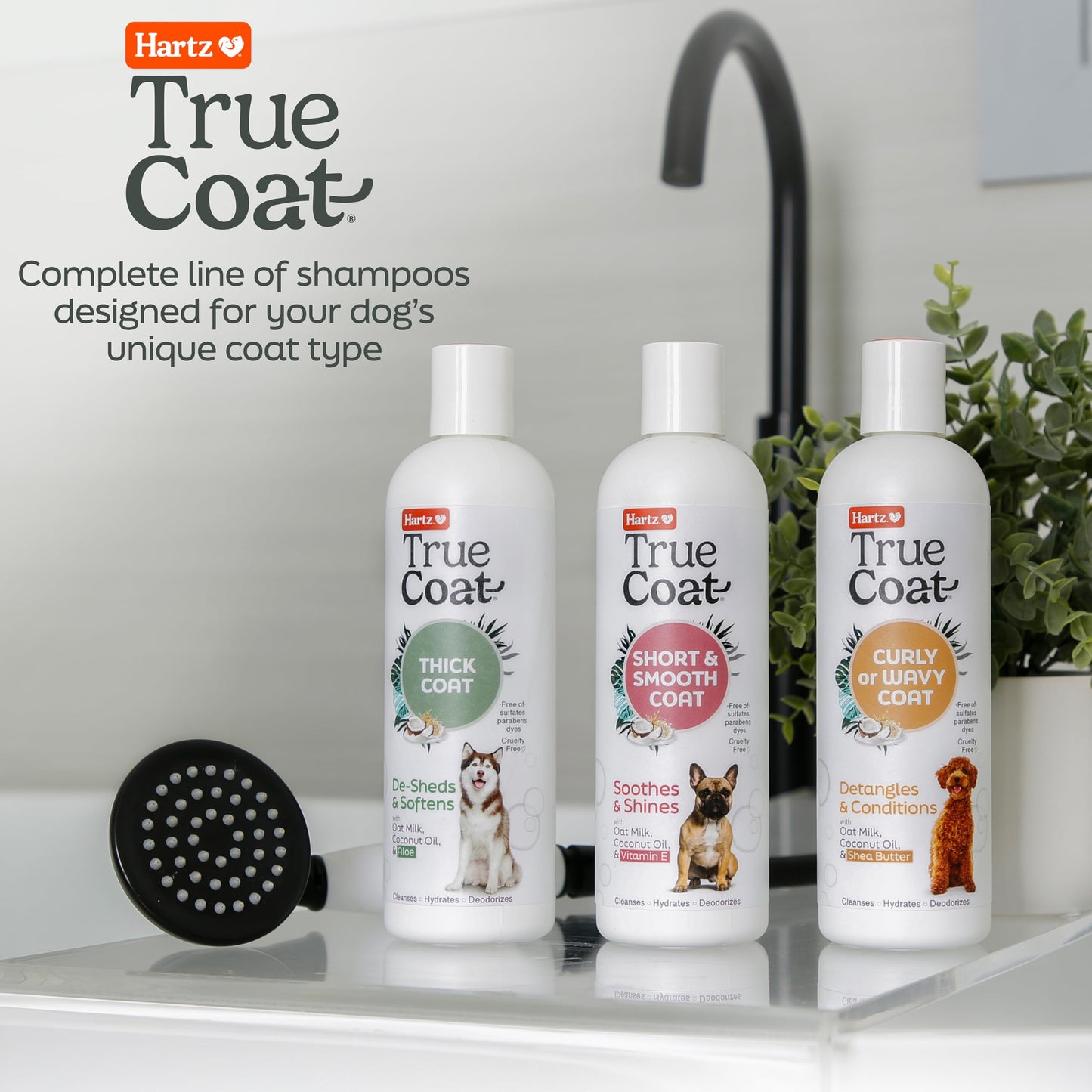 New! Hartz True Coat Curly or Wavy Coat Specific Dog Shampoo, Detangles & Conditions with Oat Milk, Coconut Oil & Shea Butter
