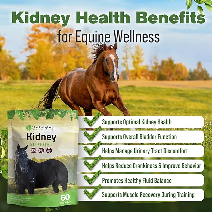 Silver Lining Herbs Kidney Support Supplement for Horses - Horse Supplements for Kidney Health and Bladder Support - Complete with Chamomile, Garlic, Juniper Berry, and More - 1 lb 60-Day Supply