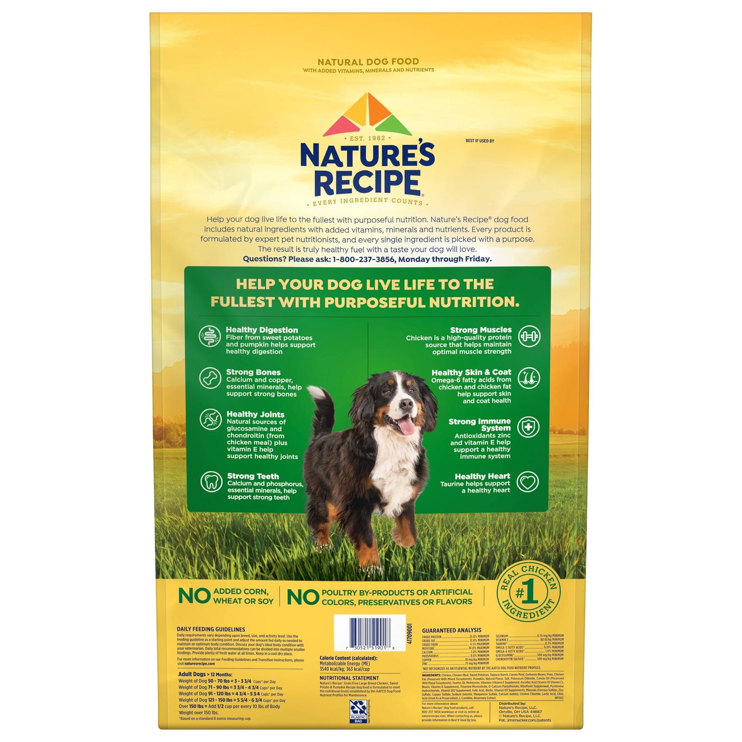 Nature’s Recipe Grain Free Large Breed Chicken, Sweet Potato & Pumpkin Recipe Dry Dog Food, 24 lb. Bag
