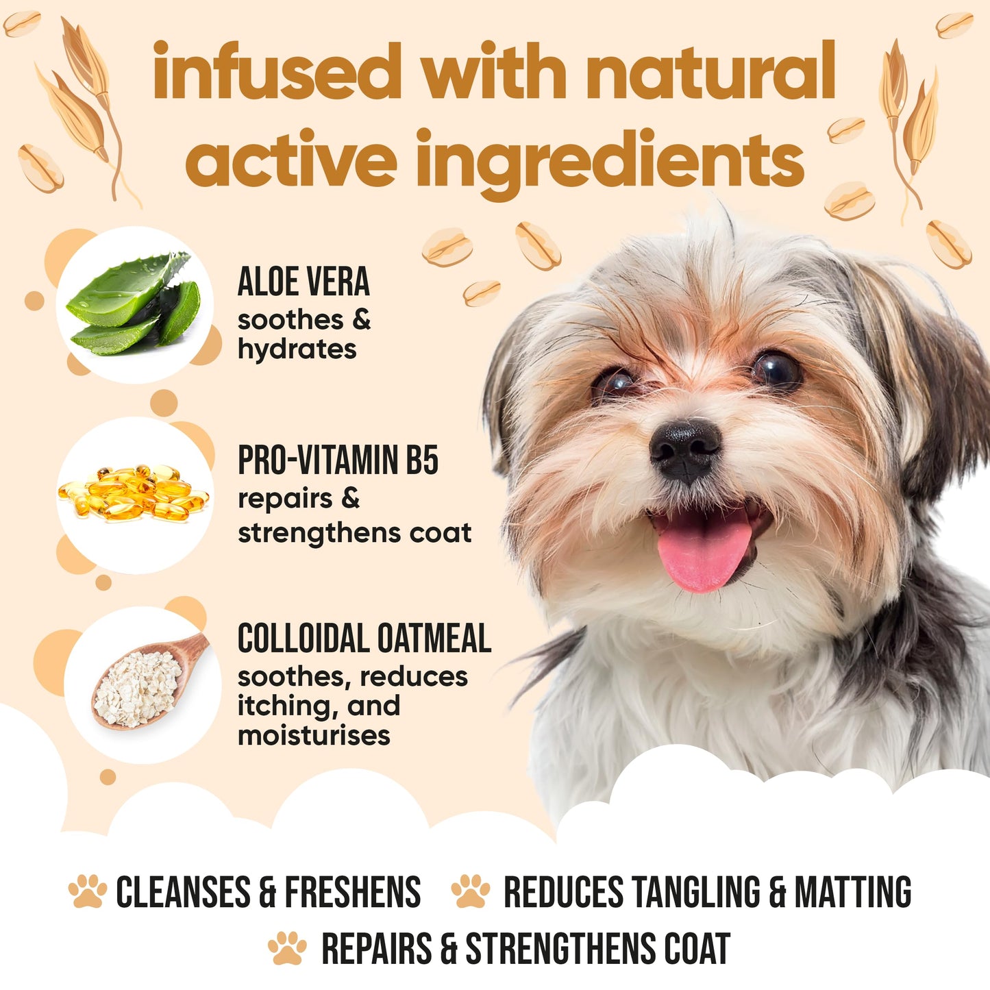 Buddycare Oatmeal Dog Shampoo for Smelly Dogs (16.90oz) - Hypoallergenic & Itch Relief Formula, Gentle on Sensitive Skin, Includes Dog Shampoo and Conditioner - Essential Dog Grooming Supplies