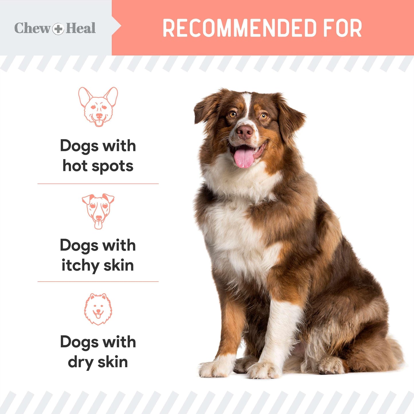 Natural Hot Spot Treatment for Dogs - 2 oz Soothing Oil for Hotspots and Itchy Skin with Natural Ingredients - Chlorhexidine Free - Good for Sensitive Skin - Made in The USA
