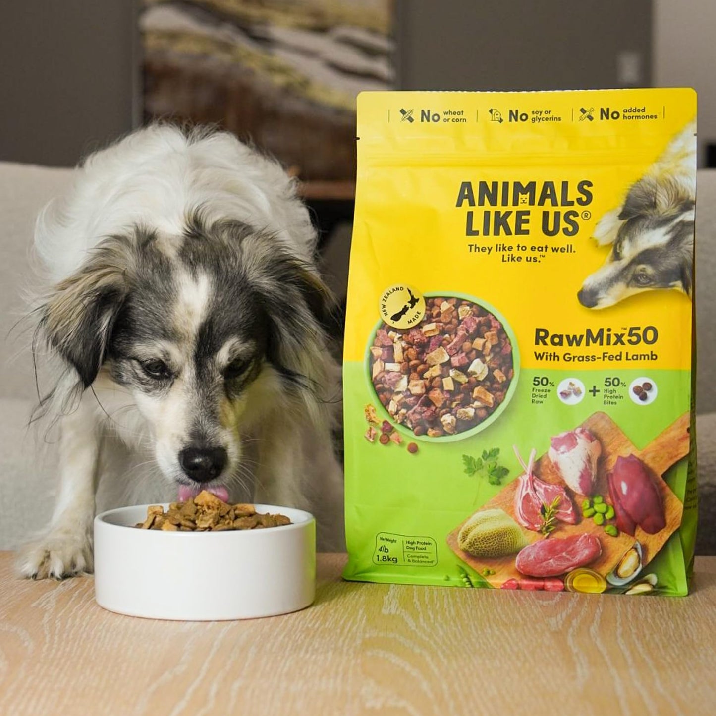 Blue Buffalo Delights Natural Adult Small Breed Wet Dog Food, Variety Pack, Made with Natural Ingredients, Filet Mignon & New York Strip Recipe in Hearty Gravy, 3.5-oz. Cups (12 Count, 6 of Each)