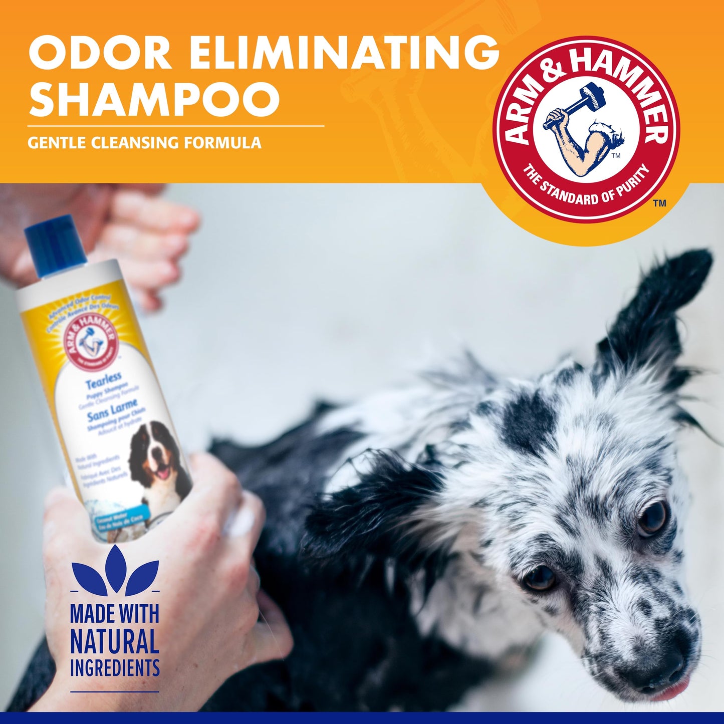 Arm & Hammer for Pets Tearless Puppy Shampoo | Tearless Dog Shampoo for Puppies Gently Cleans & Deodorizes | Fresh Coconut Water Scent That All Dogs Love, 16 oz Bottle