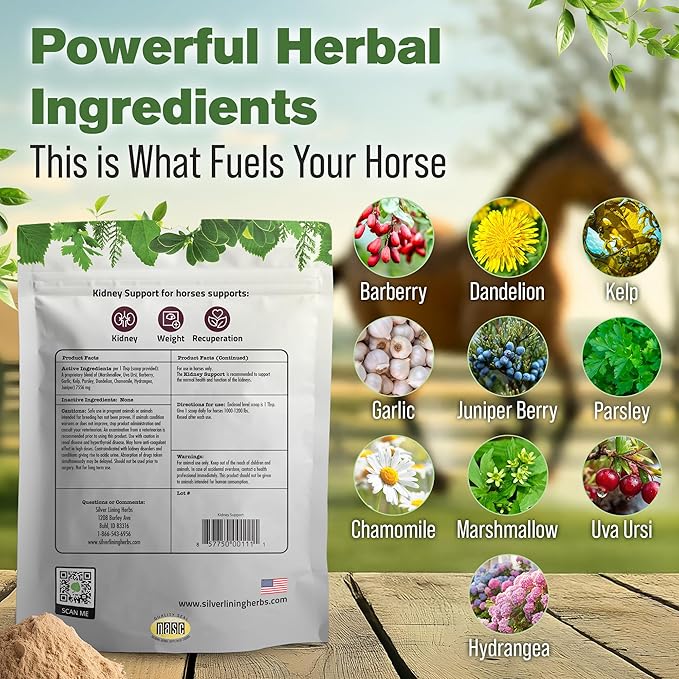 Silver Lining Herbs Kidney Support Supplement for Horses - Horse Supplements for Kidney Health and Bladder Support - Complete with Chamomile, Garlic, Juniper Berry, and More - 1 lb 60-Day Supply