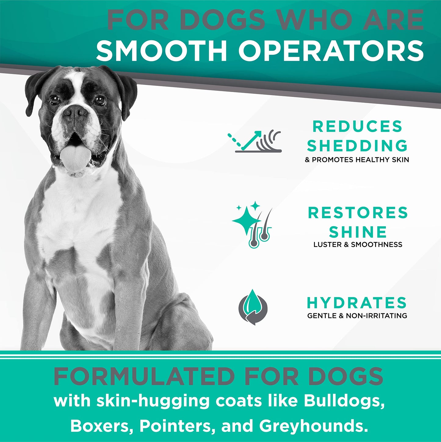 ODAC Overture Derma Serene Pet Shampoo, Gentle, Skin Friendly with Winter Cherry Root & Korean Patchouli, Rich Lather & Herbal Freshness, for Dogs & Cats, 10.14 fl oz Korea Beauty Pet Skincare