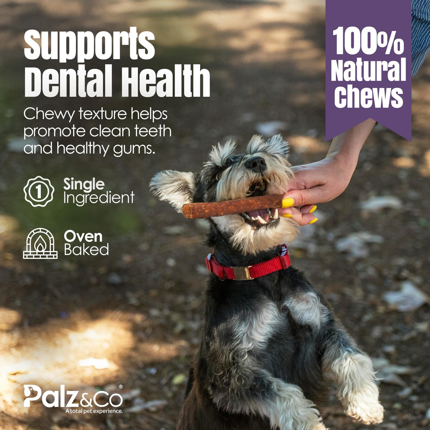 Rabbitdog Rabbit Sausage Dog Treats - 8 Pack of 100% Natural Single Ingredient Chews, Grain Free, High Protein, Soft & Chewy Texture