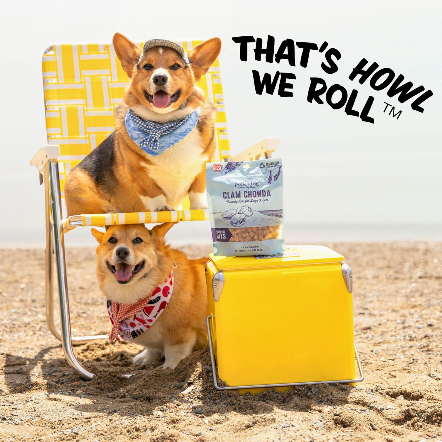 Polkadog Clam Chowda Crunchy Training Bits – All Natural, Limited Ingredient Healthy Training Treats for Dogs. Handcrafted & Made in USA. Made with Atlantic Quahogs, High in Omega-3 – 7oz