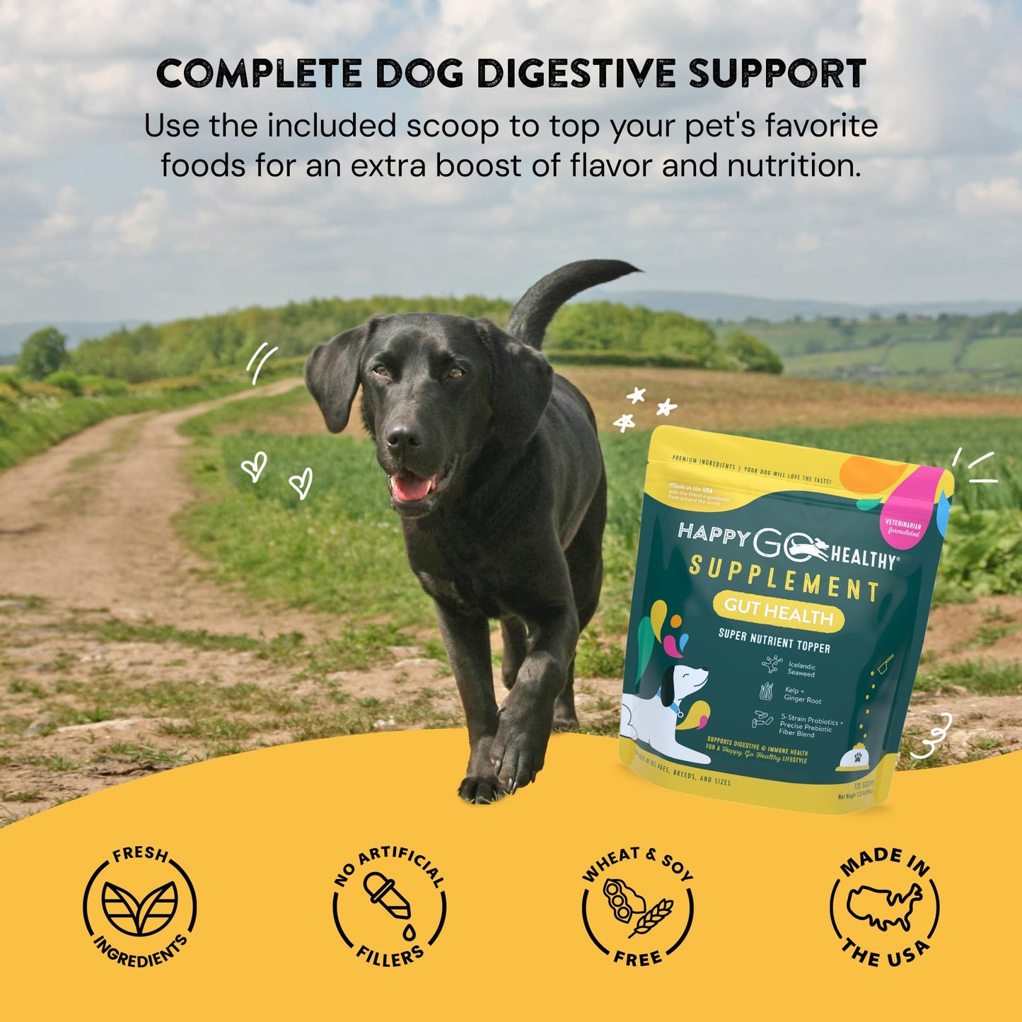 Happy Go Healthy Dog Gut Health Probiotics Supplement | Improves Digestive Health and Immune System Support for Dogs and Puppies | All Natural Ingredients Tasty Kibble Dog Food Topper | 120 Count Pack