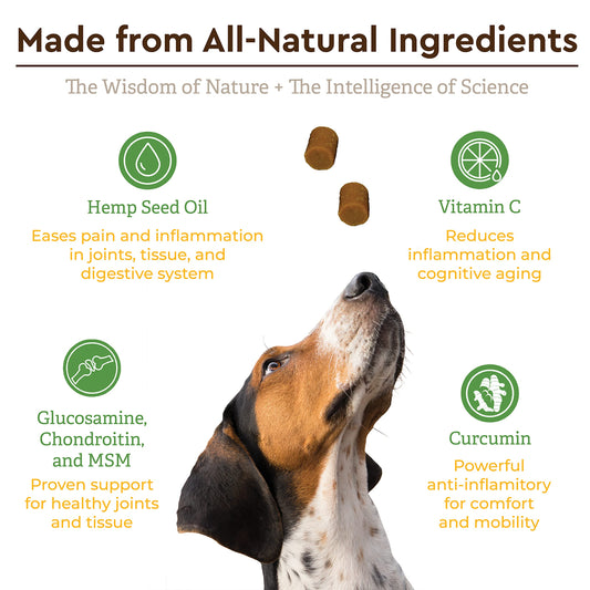 Infinite Pet Life Ultimate Hip & Joint Chews for Dogs – Peanut Butter Flavor – Glucosamine, Chondroitin, MSM & Turmeric – Advanced Joint Support for Dogs 90 Soft Chews