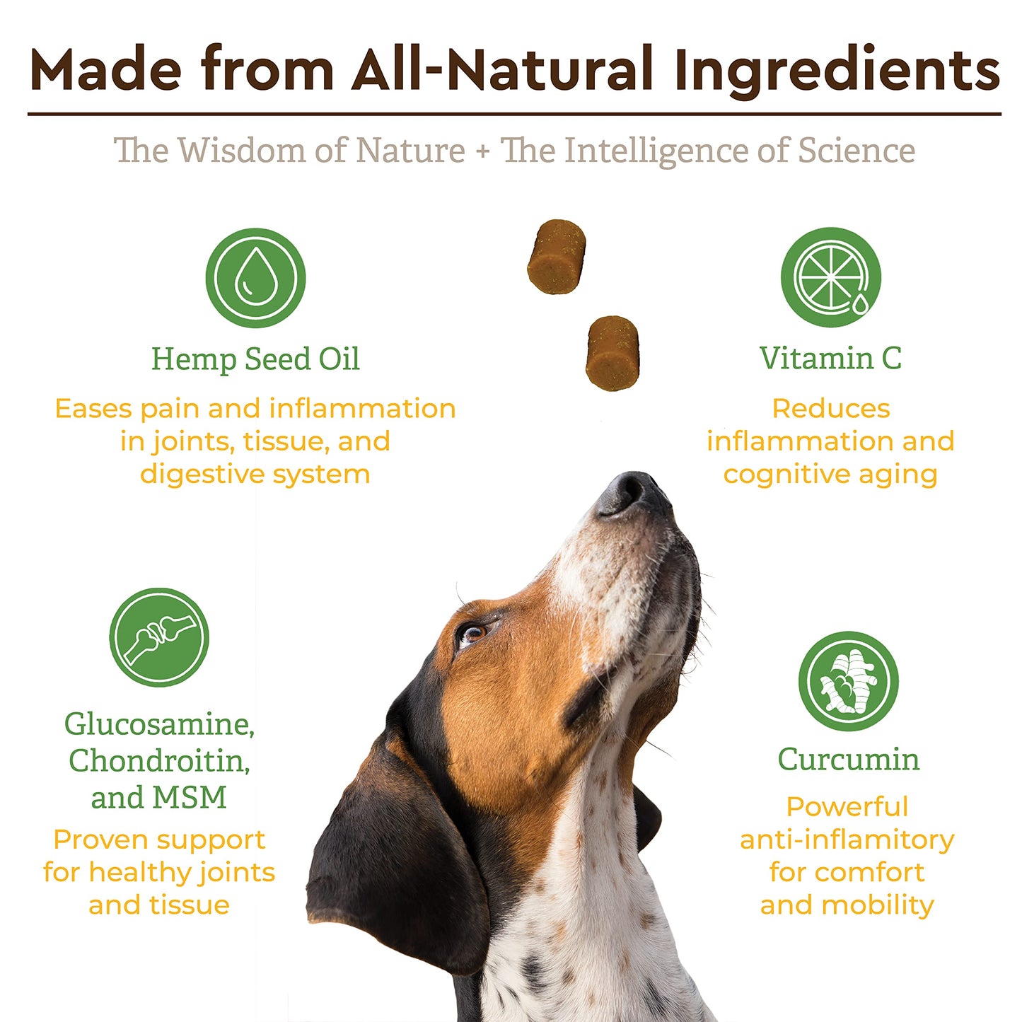 Infinite Pet Life Hip & Joint Supplement Bundle for Dogs - Glucosamine, Chondroitin, MSM & Turmeric Chews (90 Chewable Tablets + 90 Peanut Butter Soft Chews) - Relieves Pain and Enhances Mobility