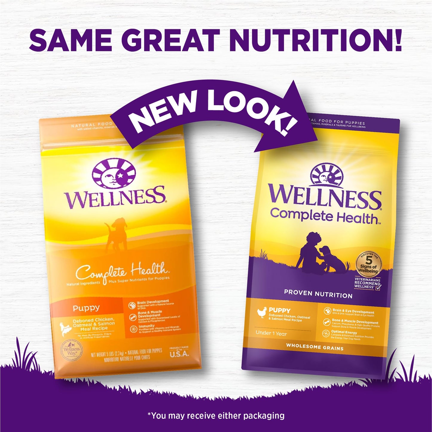 Wellness Complete Health Puppy Dry Dog Food, Wholesome Grains, Natural, Chicken, Oatmeal, & Salmon Recipe, (26-Pound Bag)