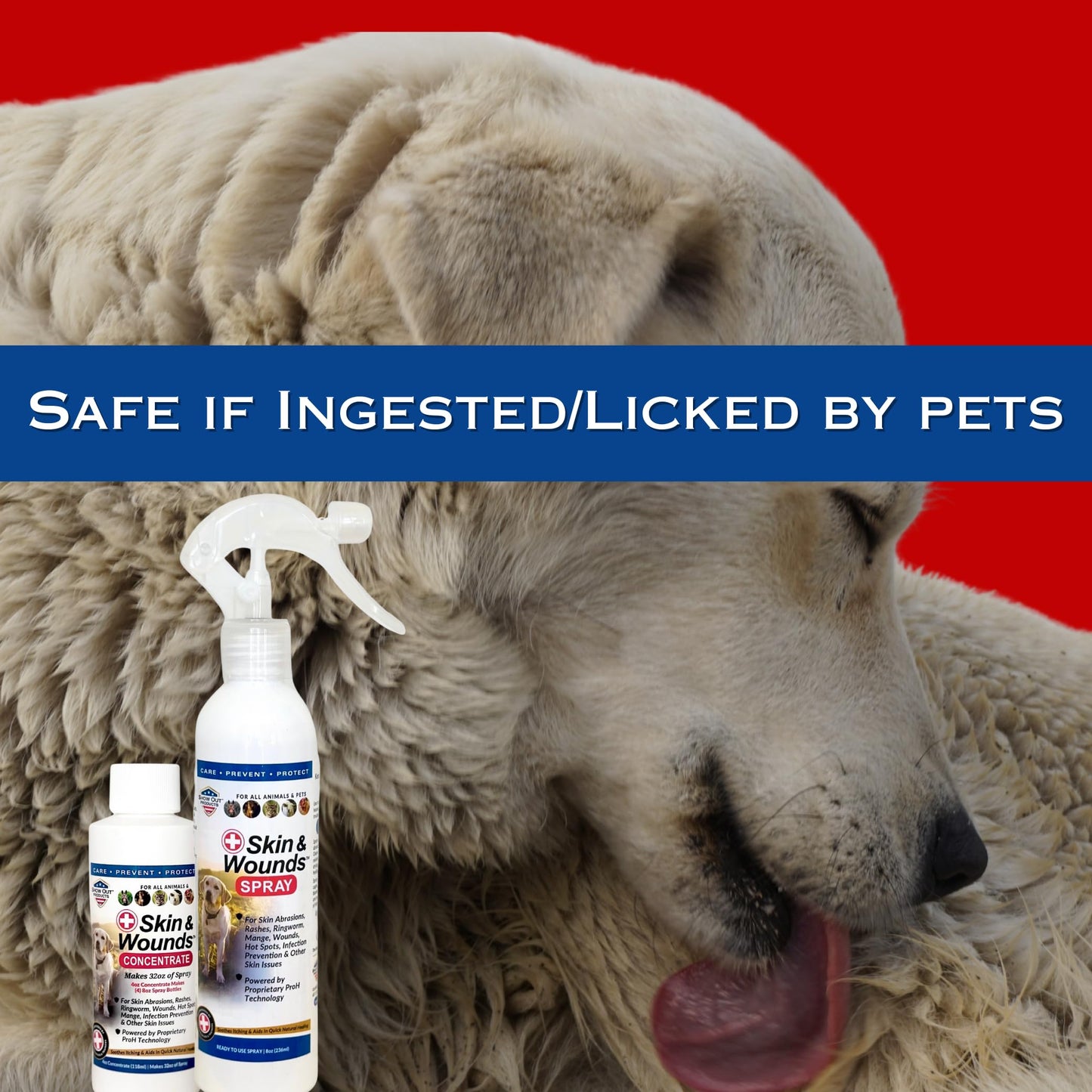 Show Out Skin & Wound Spray for Dogs & Cat - Remedy for Dog Hot Spot, Cleans and Repairs Skin, Wound Care, Relief for Hot Spots, Skin Allergies, Dry, Itching Skin (Makes 32 oz of Solution for Pet)