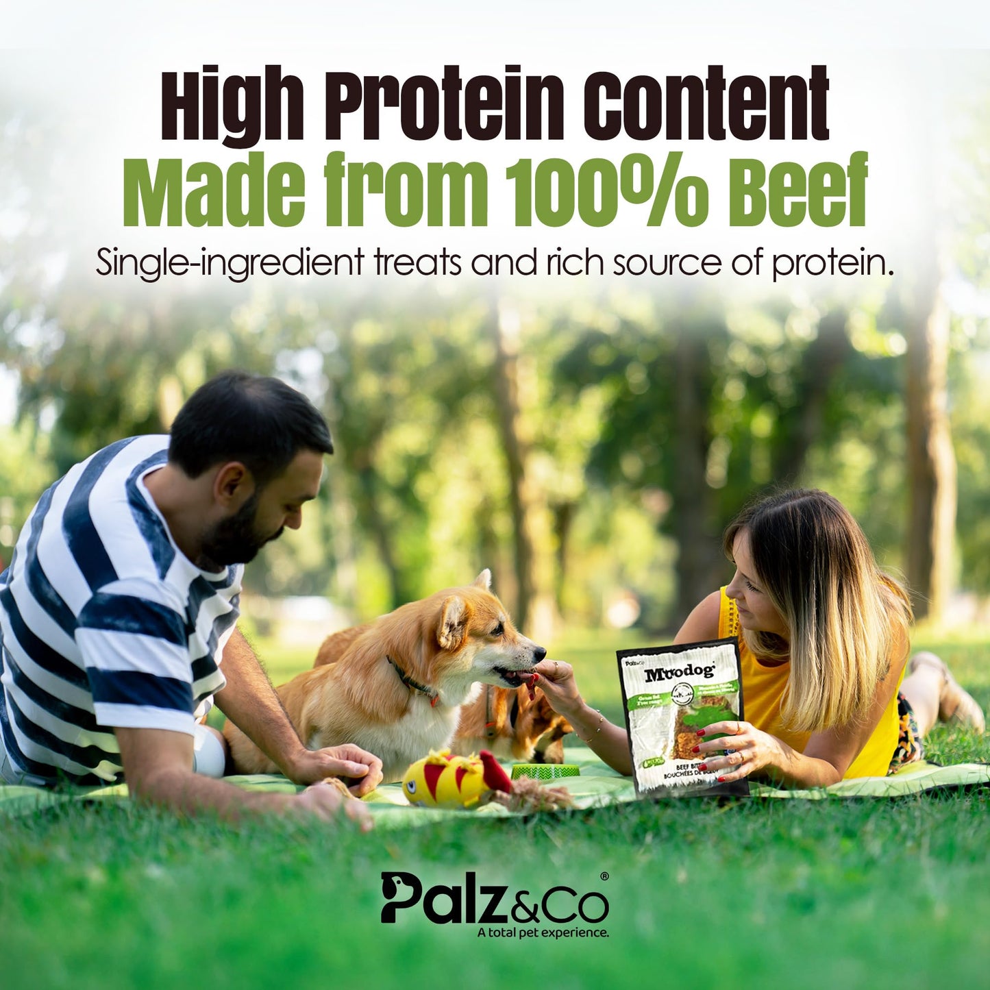 Palz&Co Moodog Beef Bites Soft Chews for Dogs - 100% Natural Grain-Free Treats to Support Dental Health, Joint Mobility, and Stress Relief, No Artificial Additives, 6 oz Bag