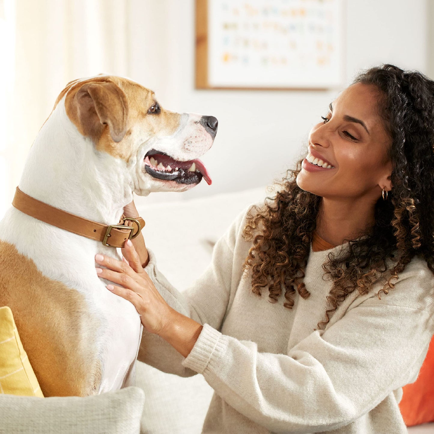 Rachael Ray Nutrish Dog Chews Soup Bones With Real Beef & Barley, 24 Dog Treats