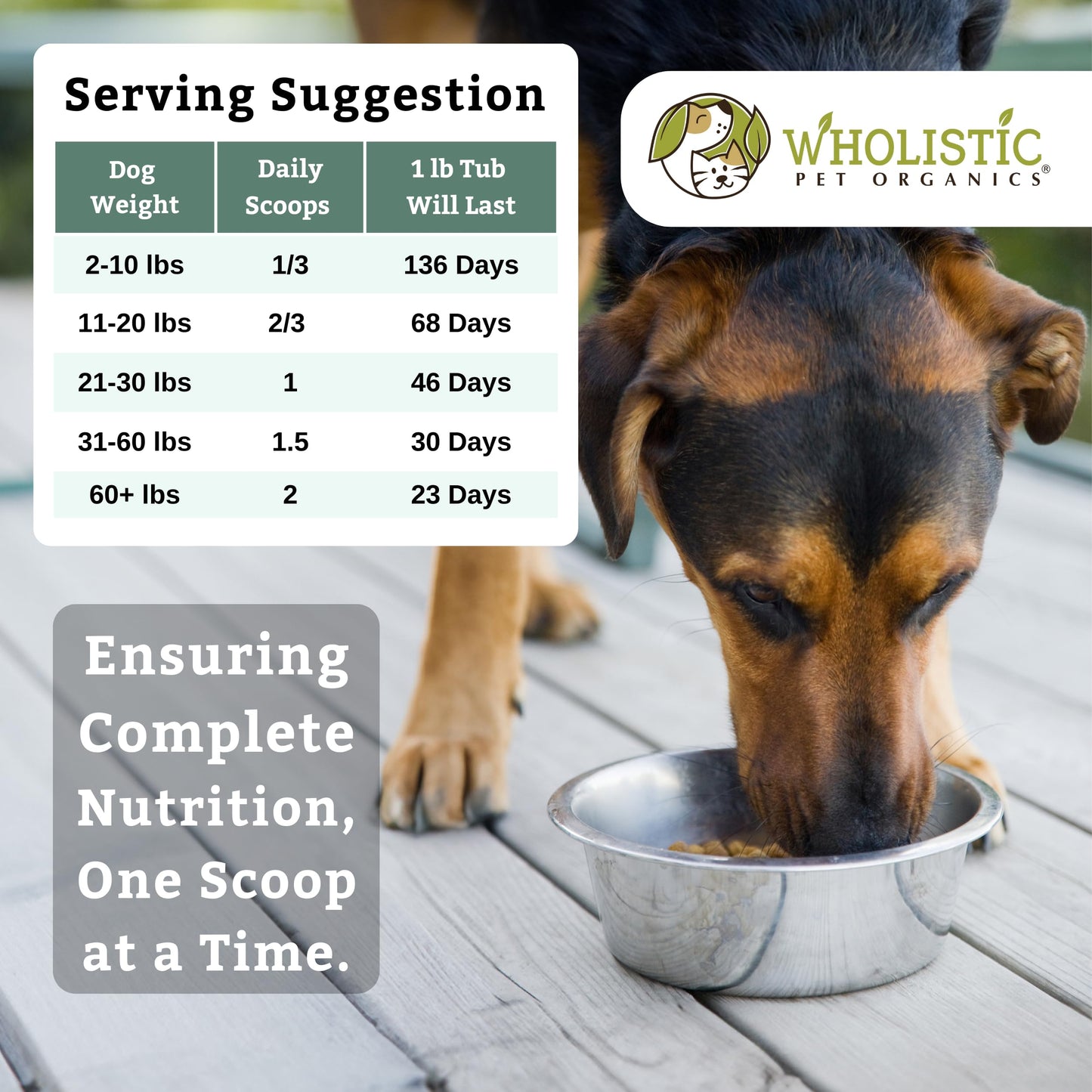 Wholistic Pet Organics Canine Complete - Dog Multivitamin Powder - 1 Lb - Daily Dog Vitamins and Supplements for Homemade Food - Immune System, Skin, Coat & Overall Health - Small and Large Breed