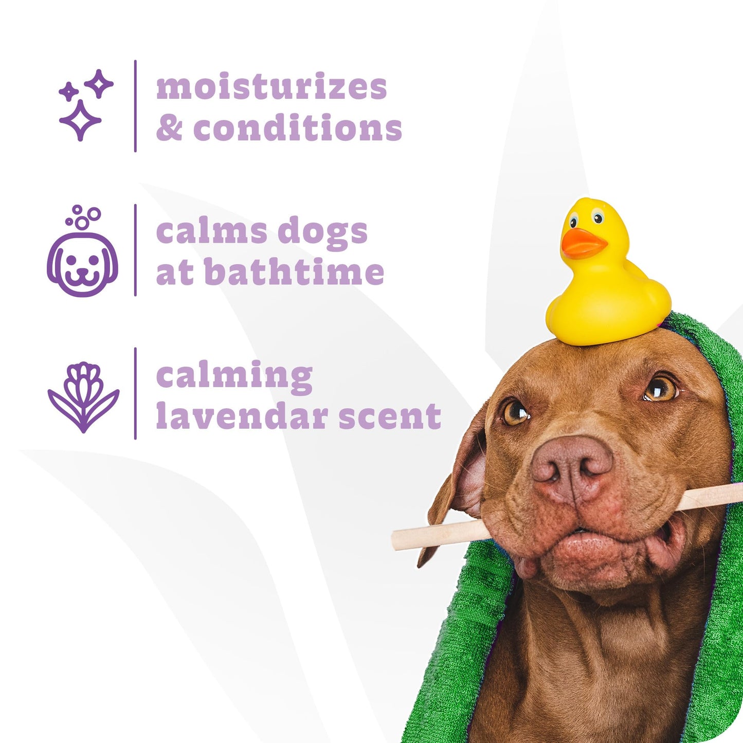 Espree Calming Lavender & Chamomile Shampoo & Conditioner, Soothes & Relaxes with Lavender, Moisturizes with Aloe Vera, Anti-Inflammatory Chamomile, Dry & Sensitive Skin, Gentle Pet Grooming, Gallon