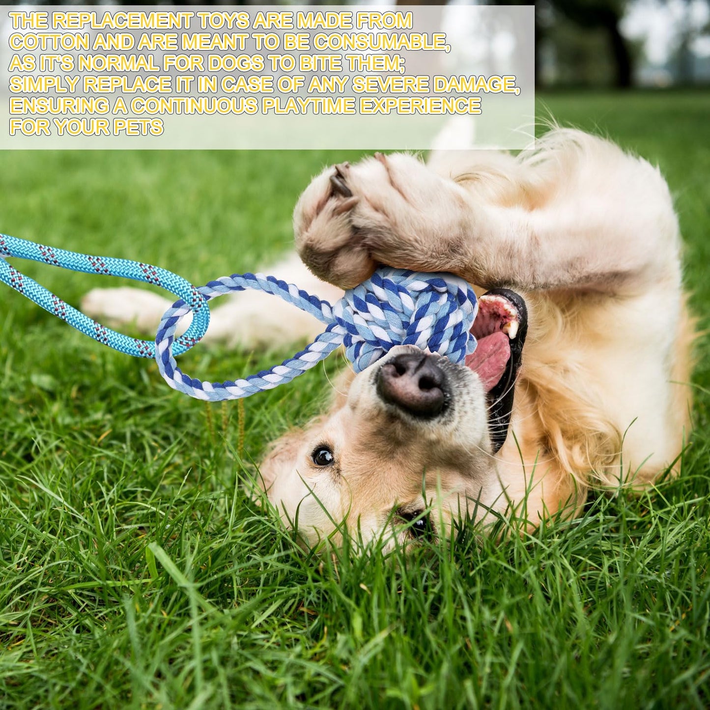 Leyndo 7 Pcs Flirt Pole for Dogs with 6 Flirt Pole Replacement Toys Puppy Teething Toys for Small Medium Dogs Exercise Training