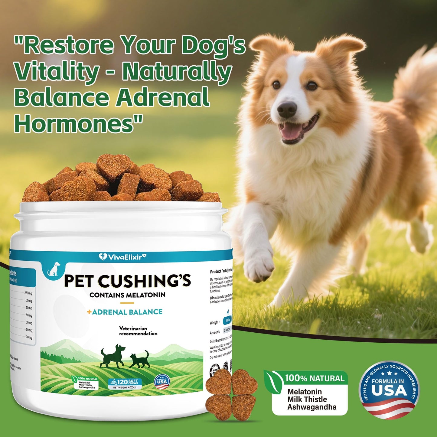 HMR Lignans & Melatonin for Dogs - Adrenal Balance Support Soft Chews - Herbal Melatonin for Dogs to Relieve Cushing's and Promote Healthy Balance - Veterinarian Recommended - 120 Chewable Tablets