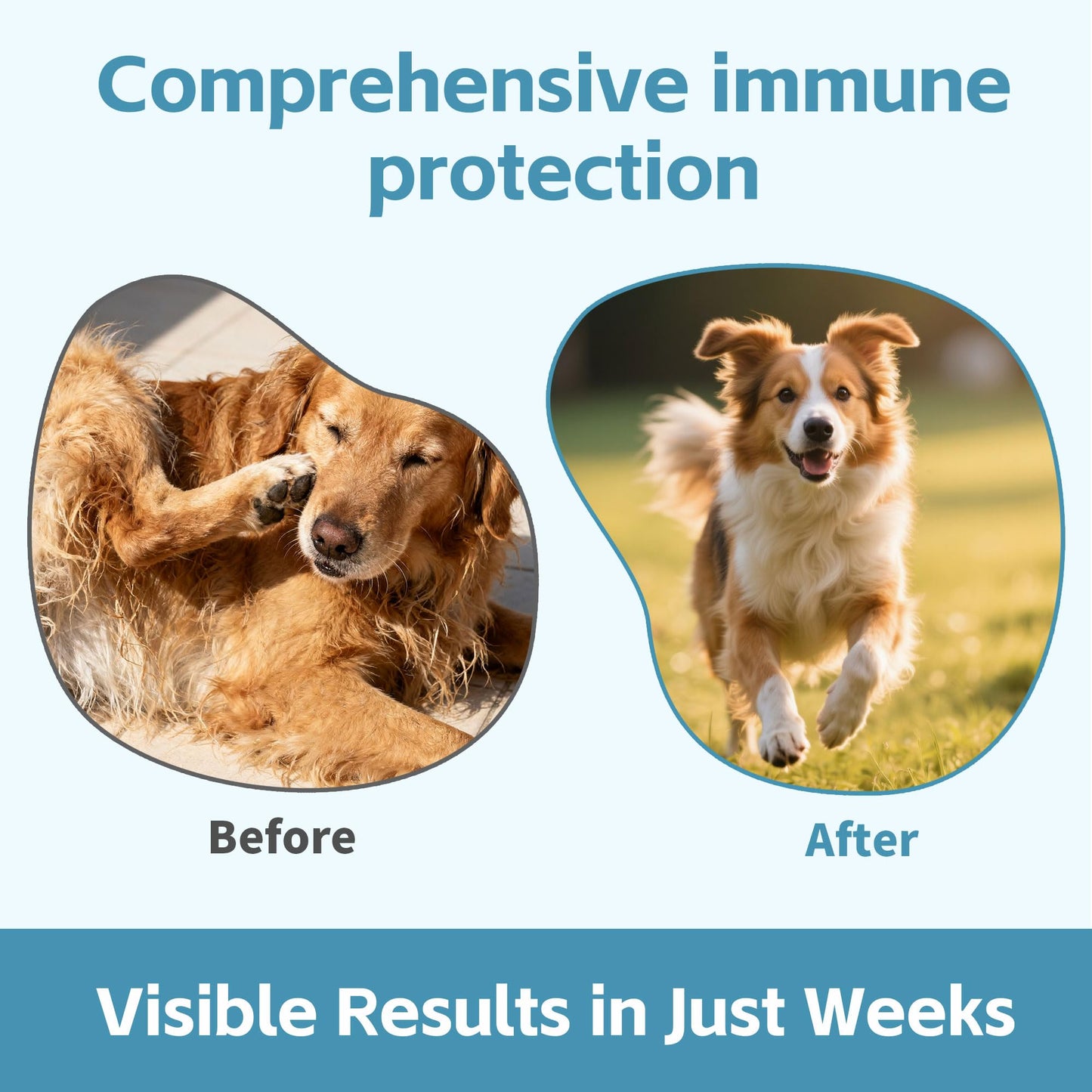 Dog Allergy & Itch Relief Chews – Quercetin, Bromelain, Colostrum & Mushroom Extracts – Skin & Ear Soothing Support for Yeast Infection, Hot Spots & Seasonal Allergies - 120 Treats