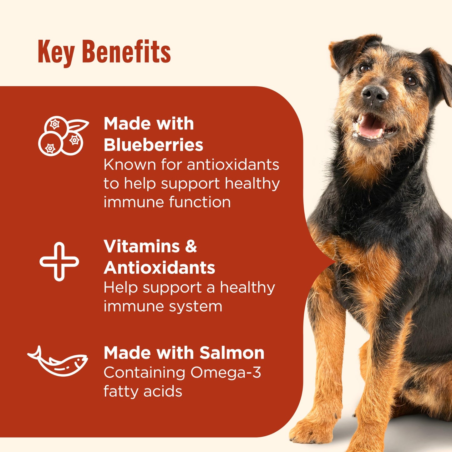 Nutrish Everyday Immune Support Chicken, Salmon, Blueberry & Pumpkin Recipe Dry Dog Food, 26 lb. Bag (Rachael Ray)