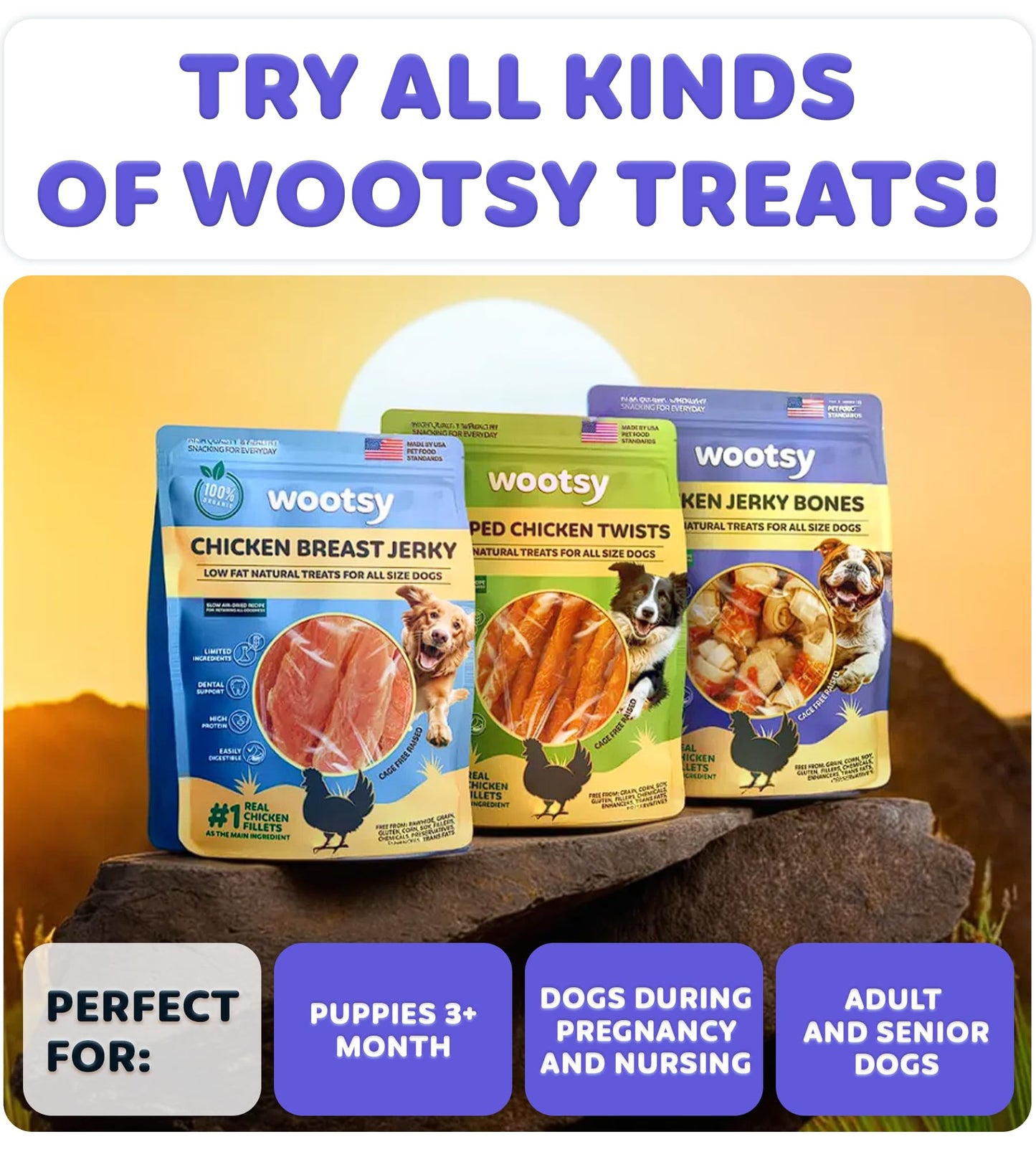 Wootsy Chicken Wrapped Knotted Rawhide Bones - Dental Health Support, Long-Lasting, Grain Free Canine Treats - Low-Calorie & High-Protein Real Chicken Dog Chews, 24 oz
