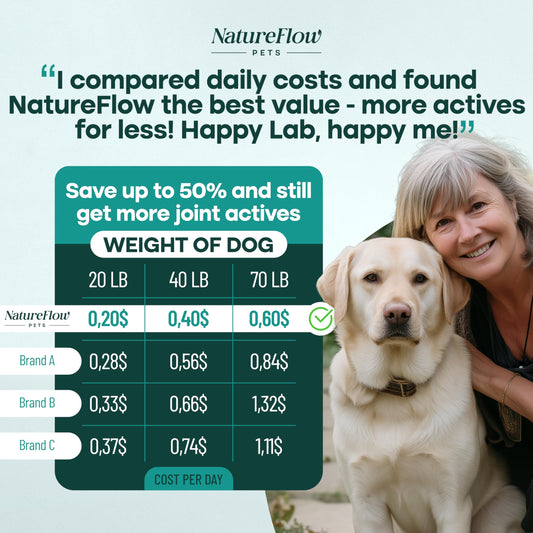 Hip and Joint Supplement for Dogs 200ct Power of Nature Made in USA, Up to 400 Days Unique Formula: Green-Lipped Mussel, Glucosamine, Chrondroitin, MSM, Devils Claw, All Breeds (Small and Large Breed)