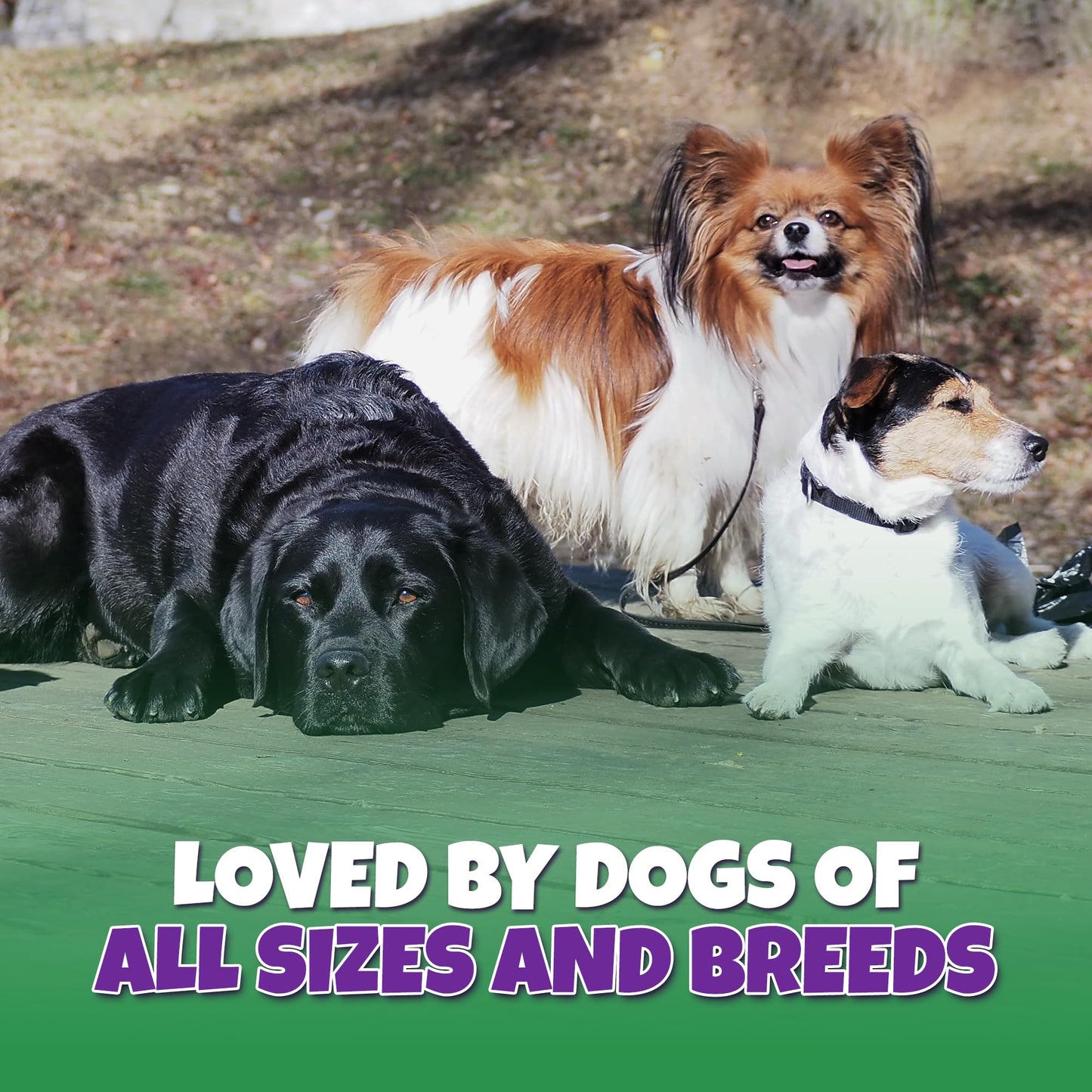 Lively Tails Turkey Tendons for Dogs Made in USA with 100% Turkey and No Glycerin, Healthy Jerky Dog Treats for Medium and Small Dogs, Human Grade Natural Chews, 6 oz Bag