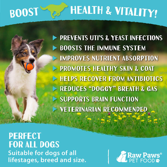 Raw Paws Natural Dog Probiotic Supplement with Prebiotics, 10-oz/100-ct - USA Made Daily Probiotic for Dogs Soft Chew - Treat Diarrhea in Dogs, Yeast, Dog Breath & Gas with Our Canine Probiotic Chews
