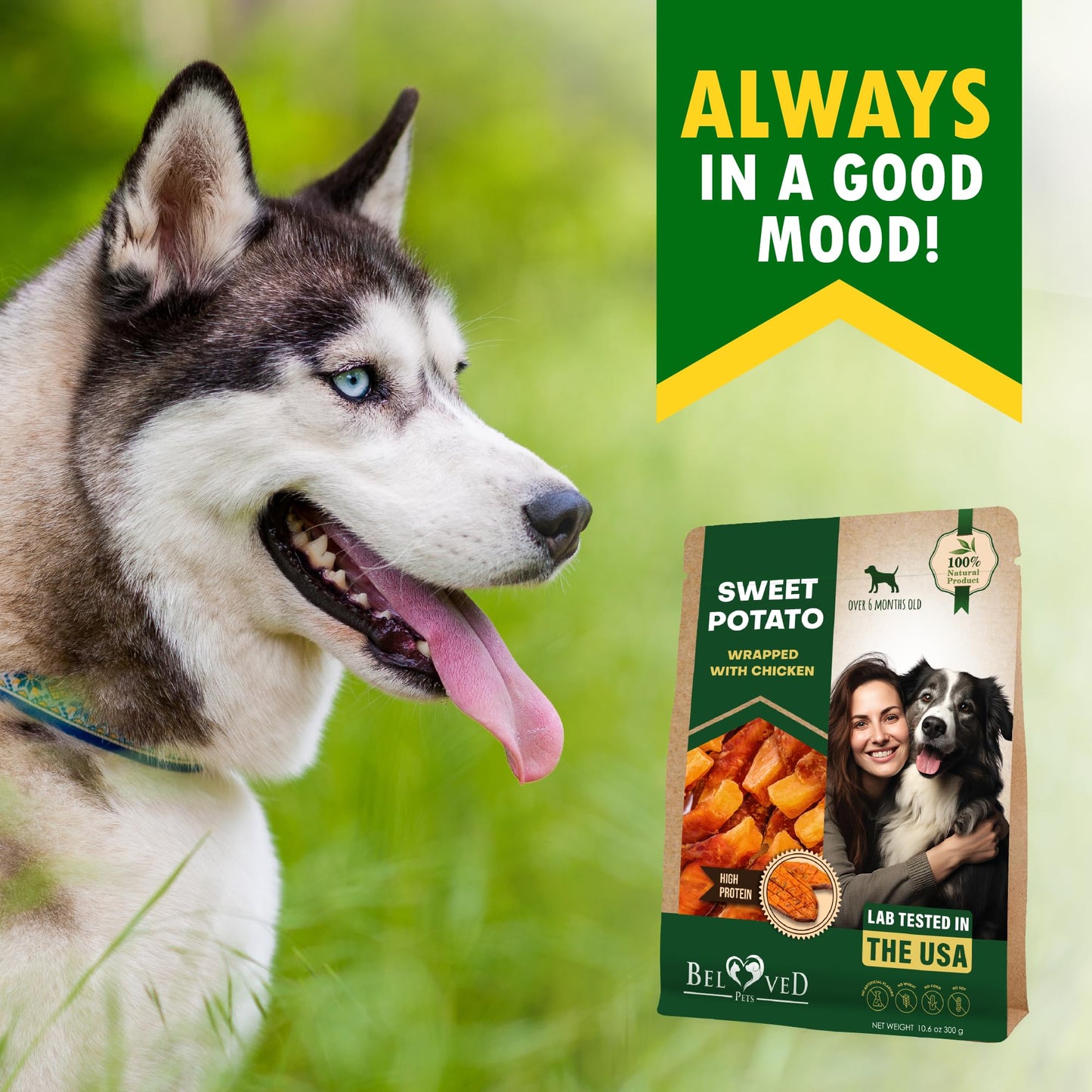 Dog Treats Sweet Potato Wrapped with Chicken 11 oz & Pet Natural Chew - Grain Free Dried Snacks in Bulk - Best Twists for Training Small & Large Dogs - Made for USA